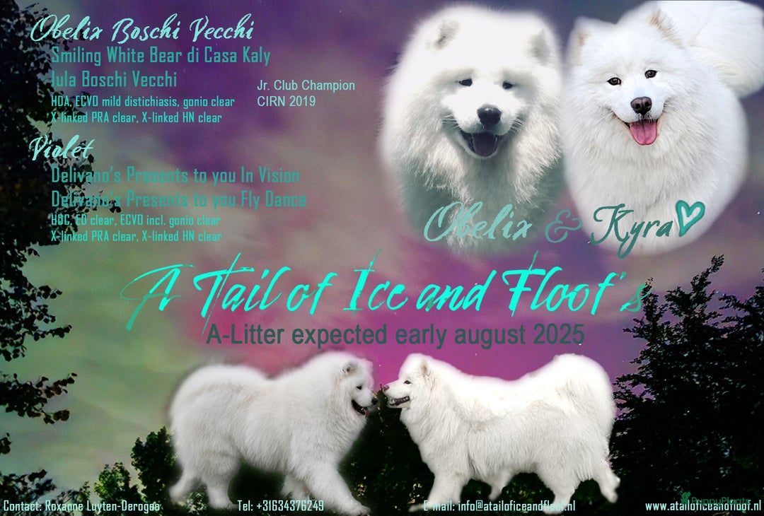 Galerij afbeelding {{count}}