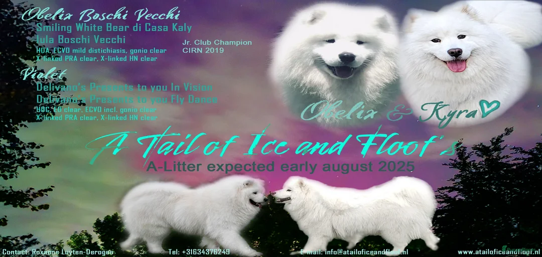 Galerij afbeelding {{count}}