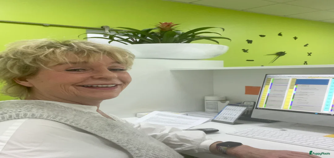 Galerij afbeelding {{count}}