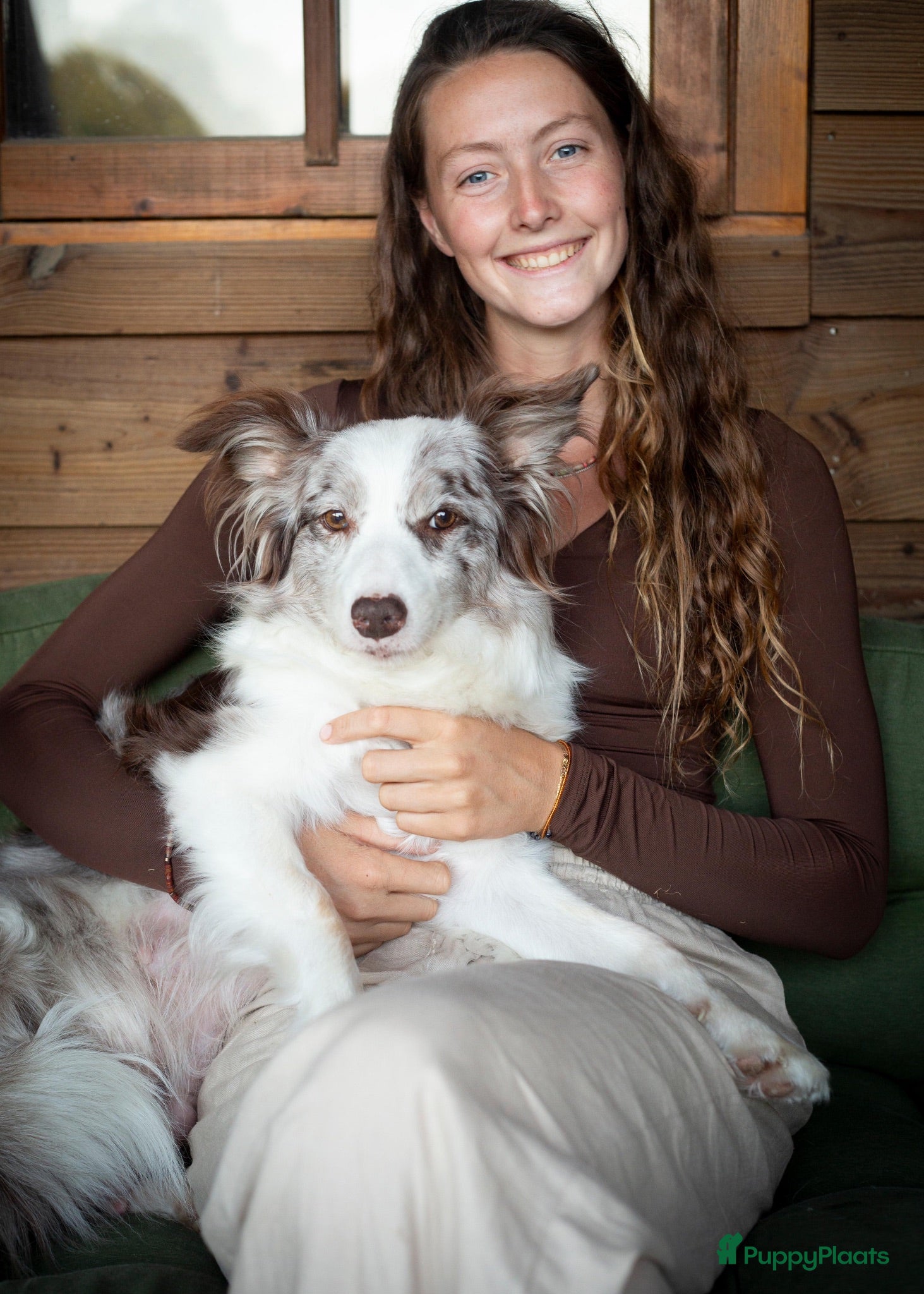 Border Collie honden FCI stamboom Bordercollie pups te koop 🩷🩵🩵🩵 - Advertentie 9
