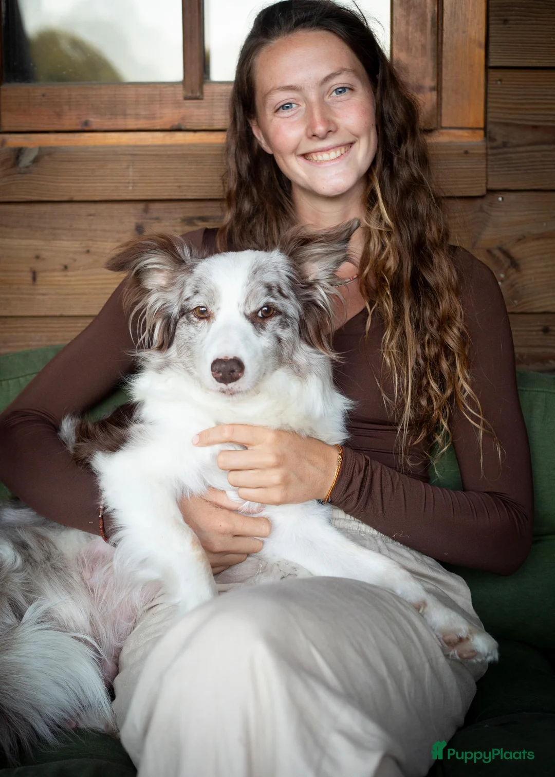 Border Collie honden te koop: FCI stamboom Bordercollie pups te koop 🩷🩵🩵🩵 - Advertentie 1