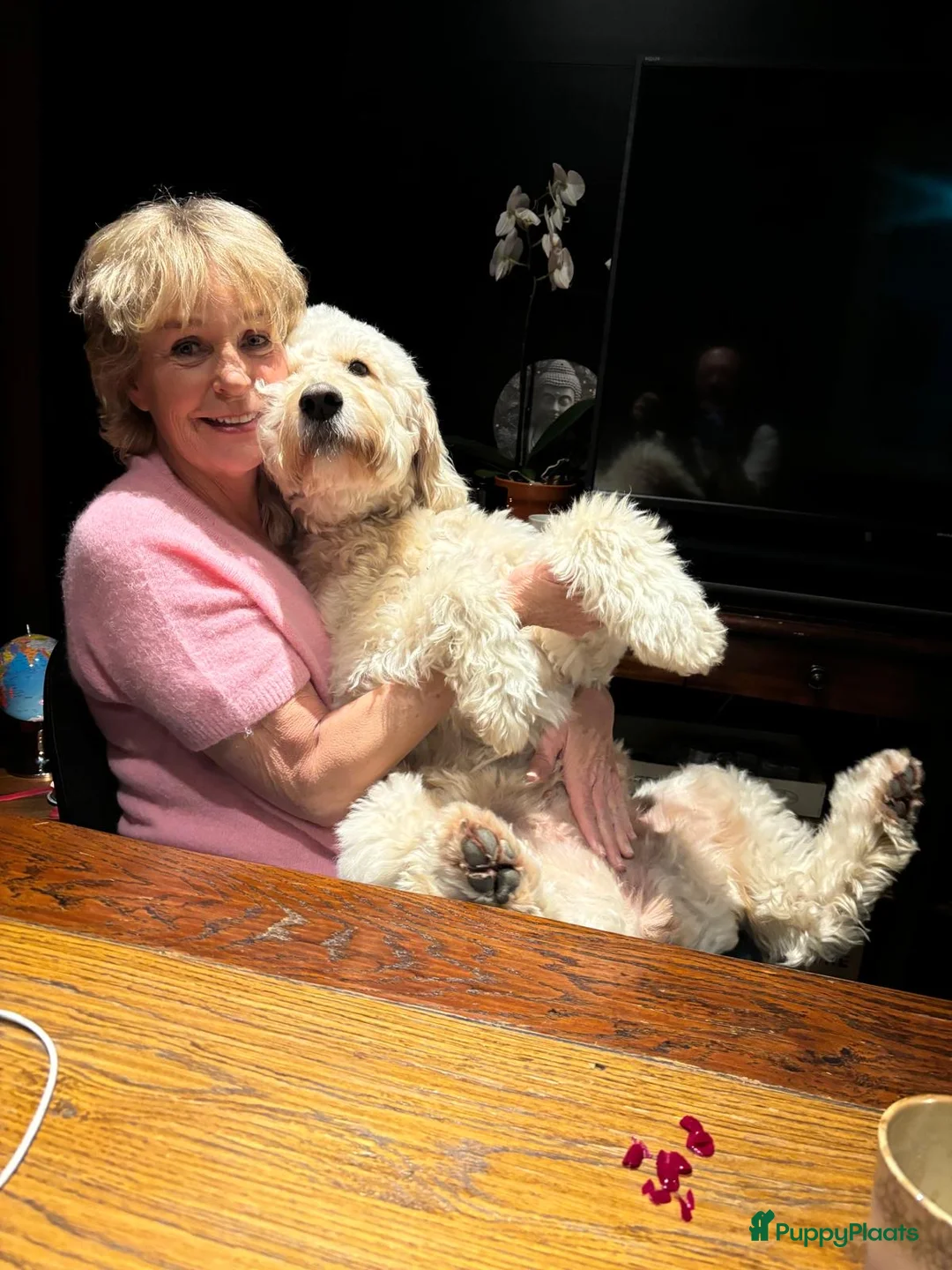 Galerij afbeelding {{count}}