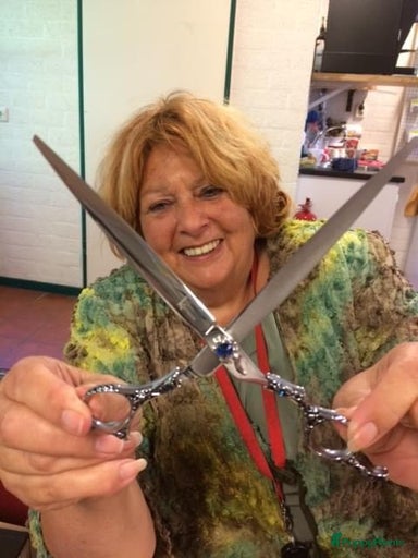 Galerij afbeelding {{count}}