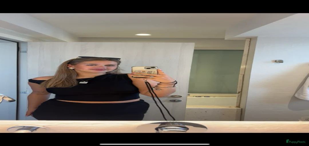 Galerij afbeelding {{count}}