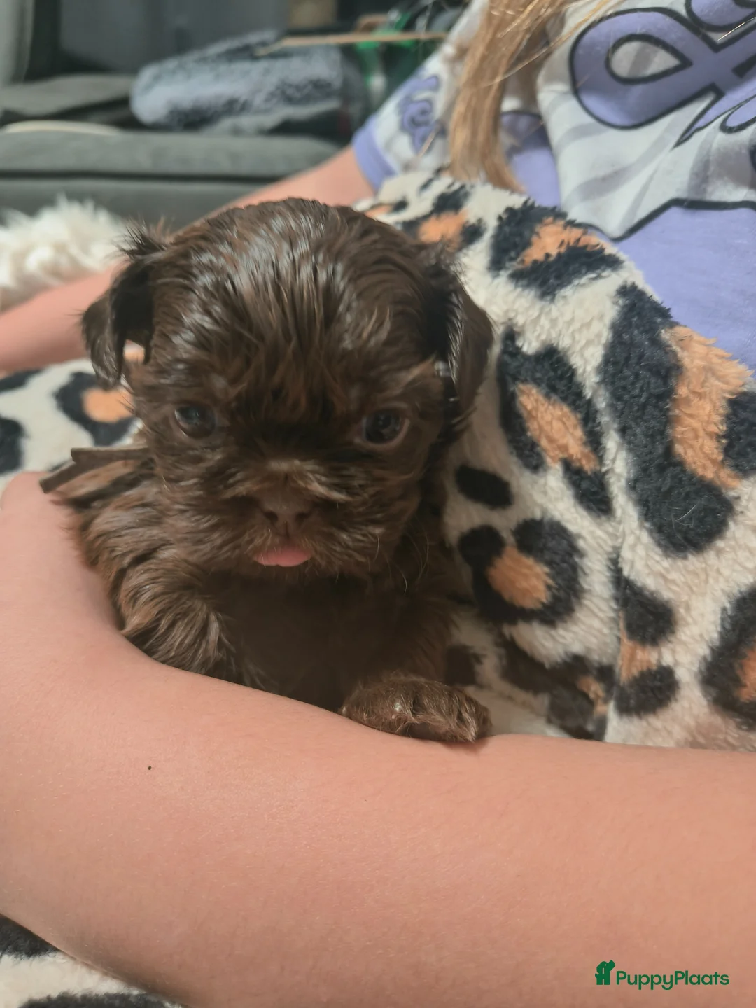 Galerij afbeelding {{count}}