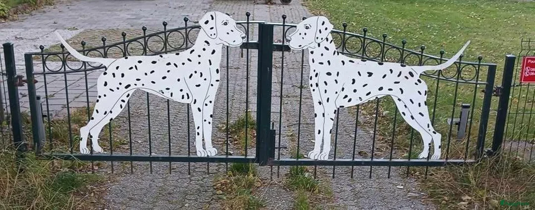 Galerij afbeelding {{count}}