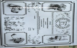 Duitse Dog honden te koop: Verwacht Duitse dog pups  - Afbeelding 12