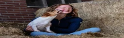 Jack Russel Terriër honden te koop: 🥰 5 Prachtige Jack Russel pups! 🐶 - Advertentie 28
