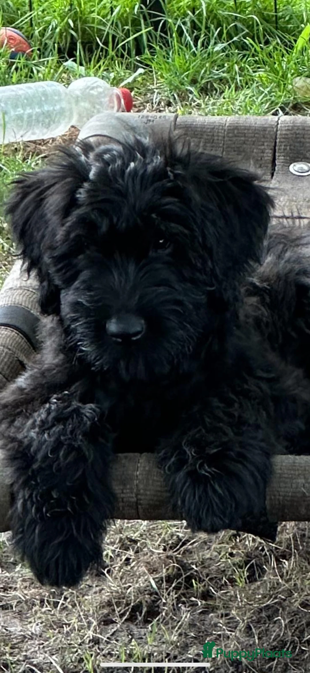 Galerij afbeelding {{count}}