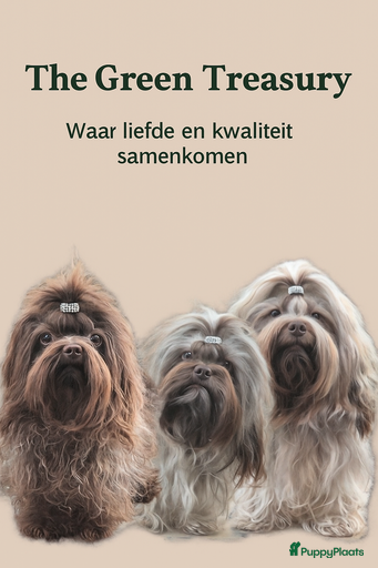 Galerij afbeelding {{count}}