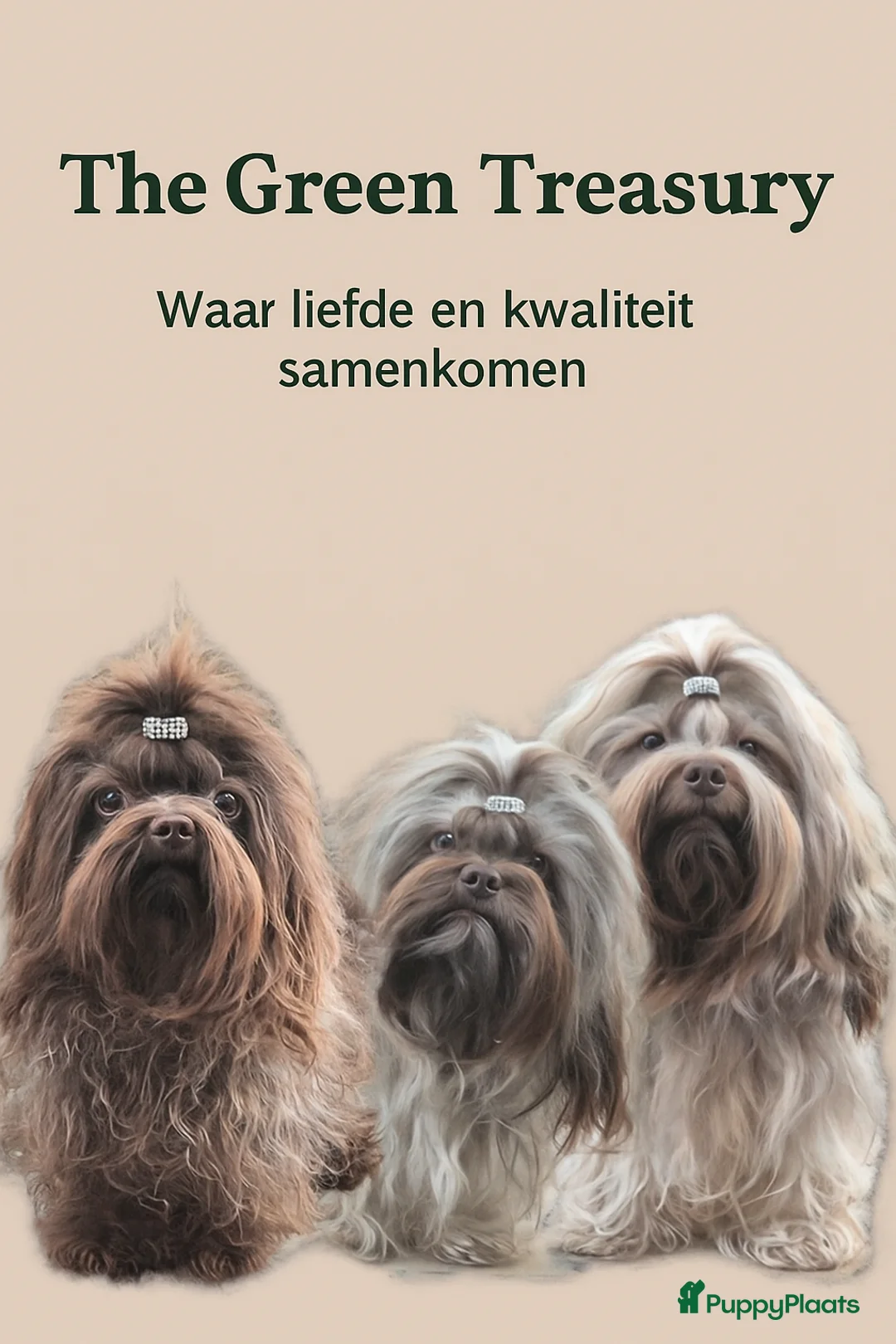 Galerij afbeelding {{count}}