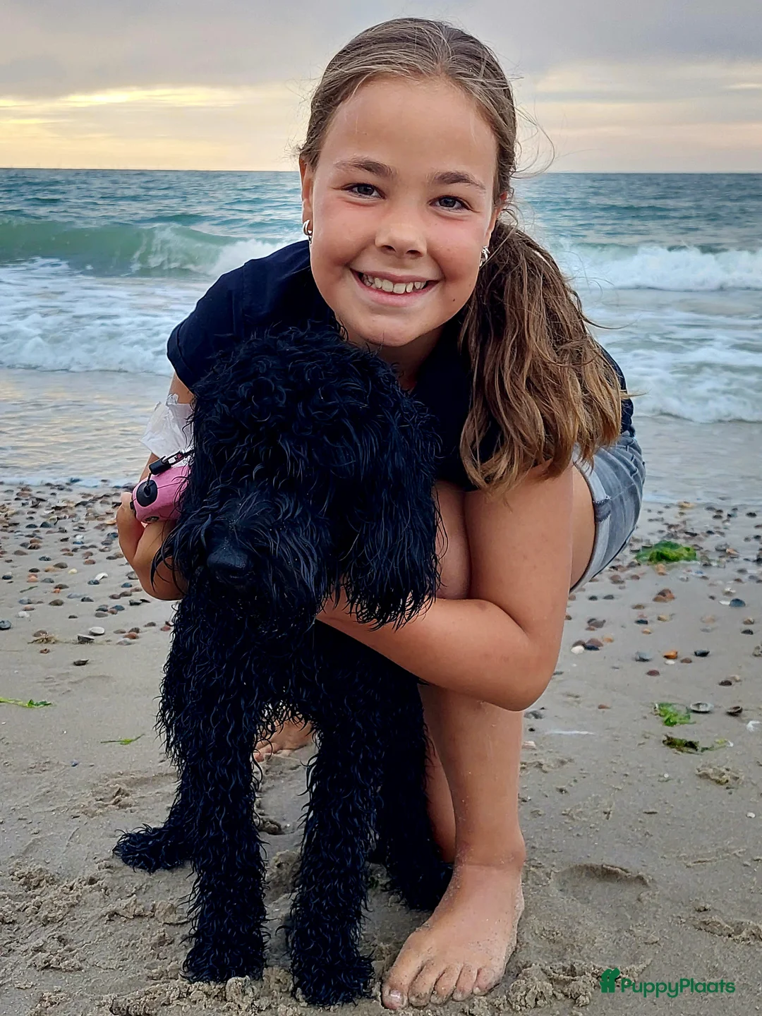 Kruising honden te koop: Het is bijna zover!  - Advertentie 4