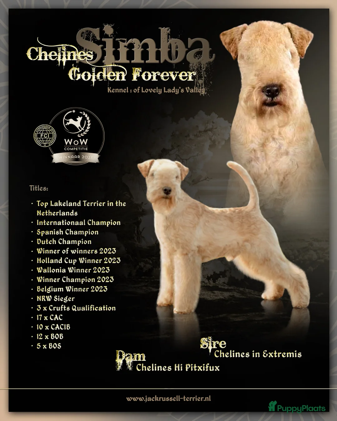 Galerij afbeelding {{count}}