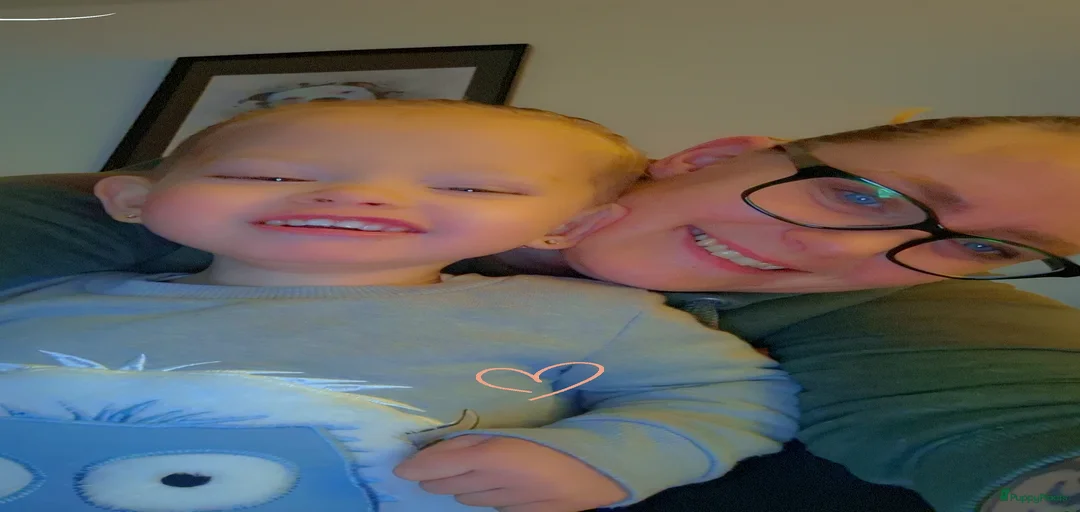 Galerij afbeelding {{count}}