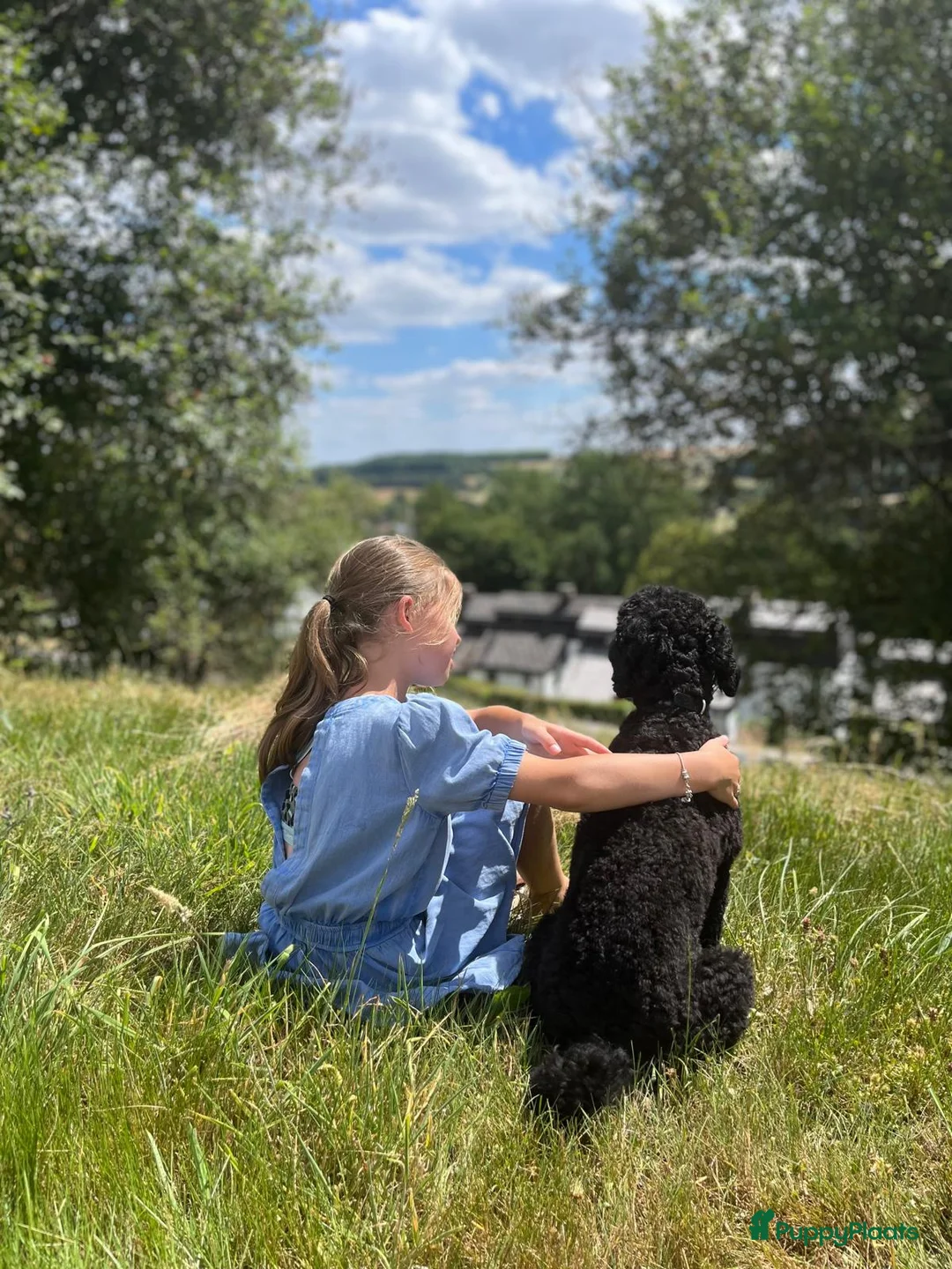 Kruising honden te koop: Prachtige  mini labradoodle pups  - Advertentie 10