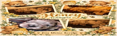 Honey (verkocht)