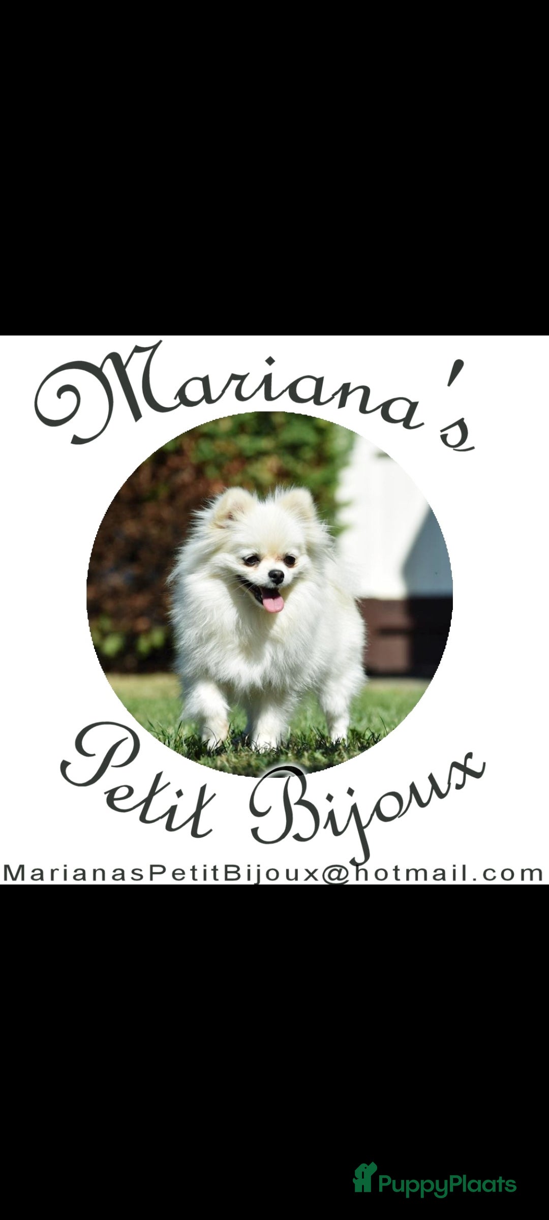 Galerij afbeelding {{count}}