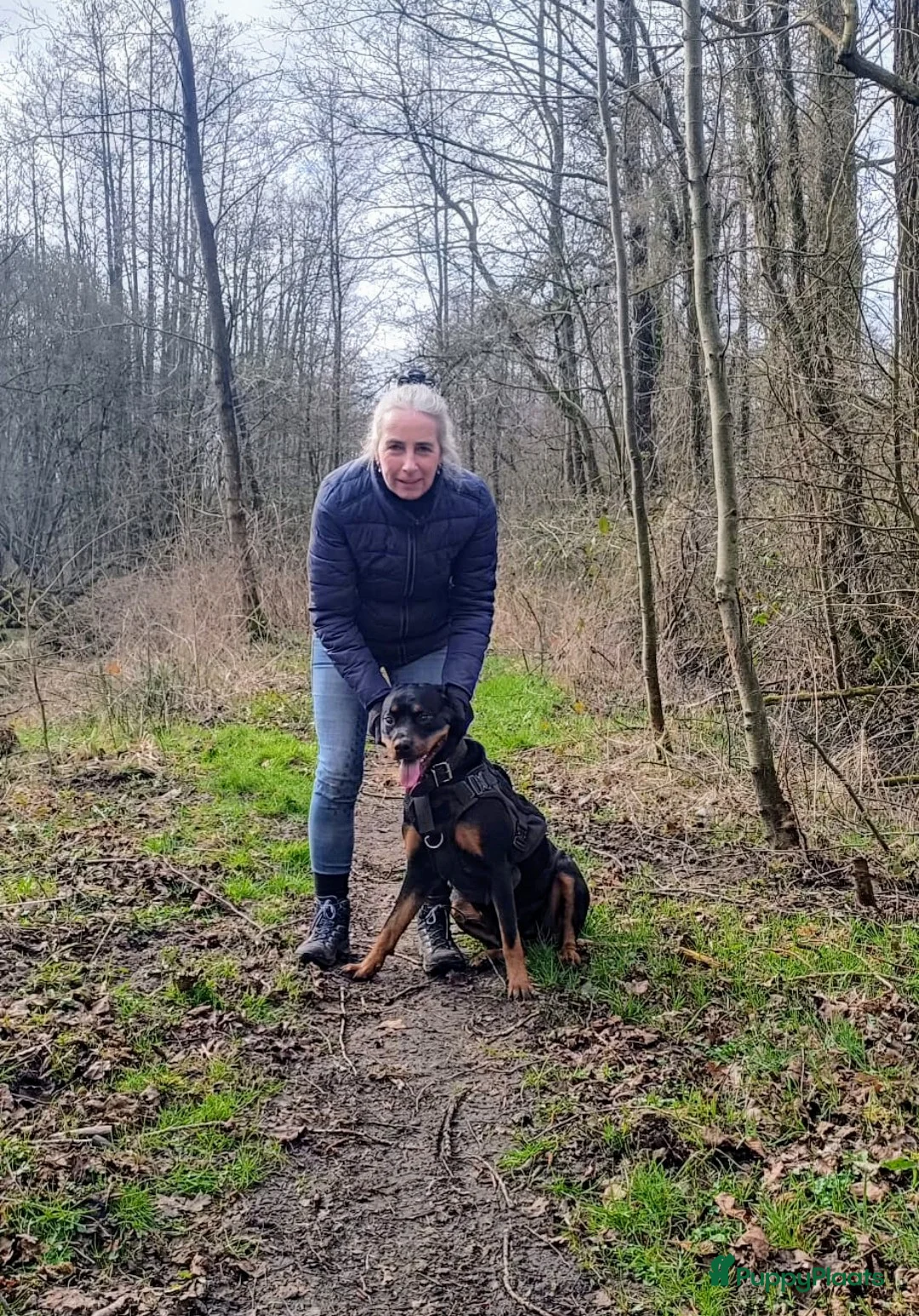 Galerij afbeelding {{count}}