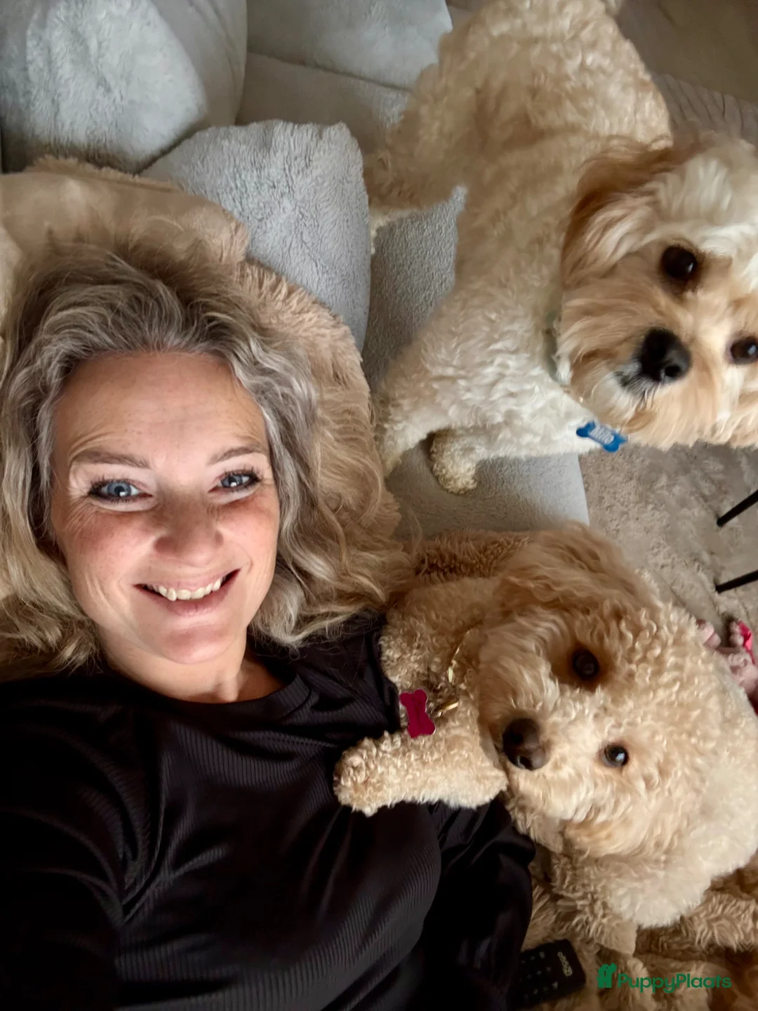 Galerij afbeelding {{count}}