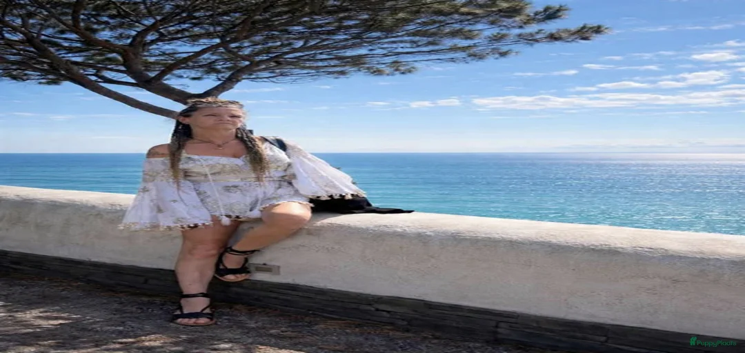 Galerij afbeelding {{count}}