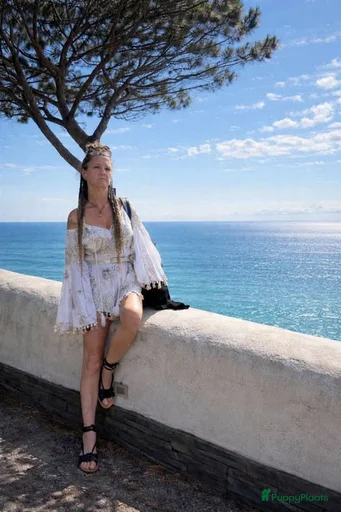 Galerij afbeelding {{count}}