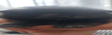Pomsky 3