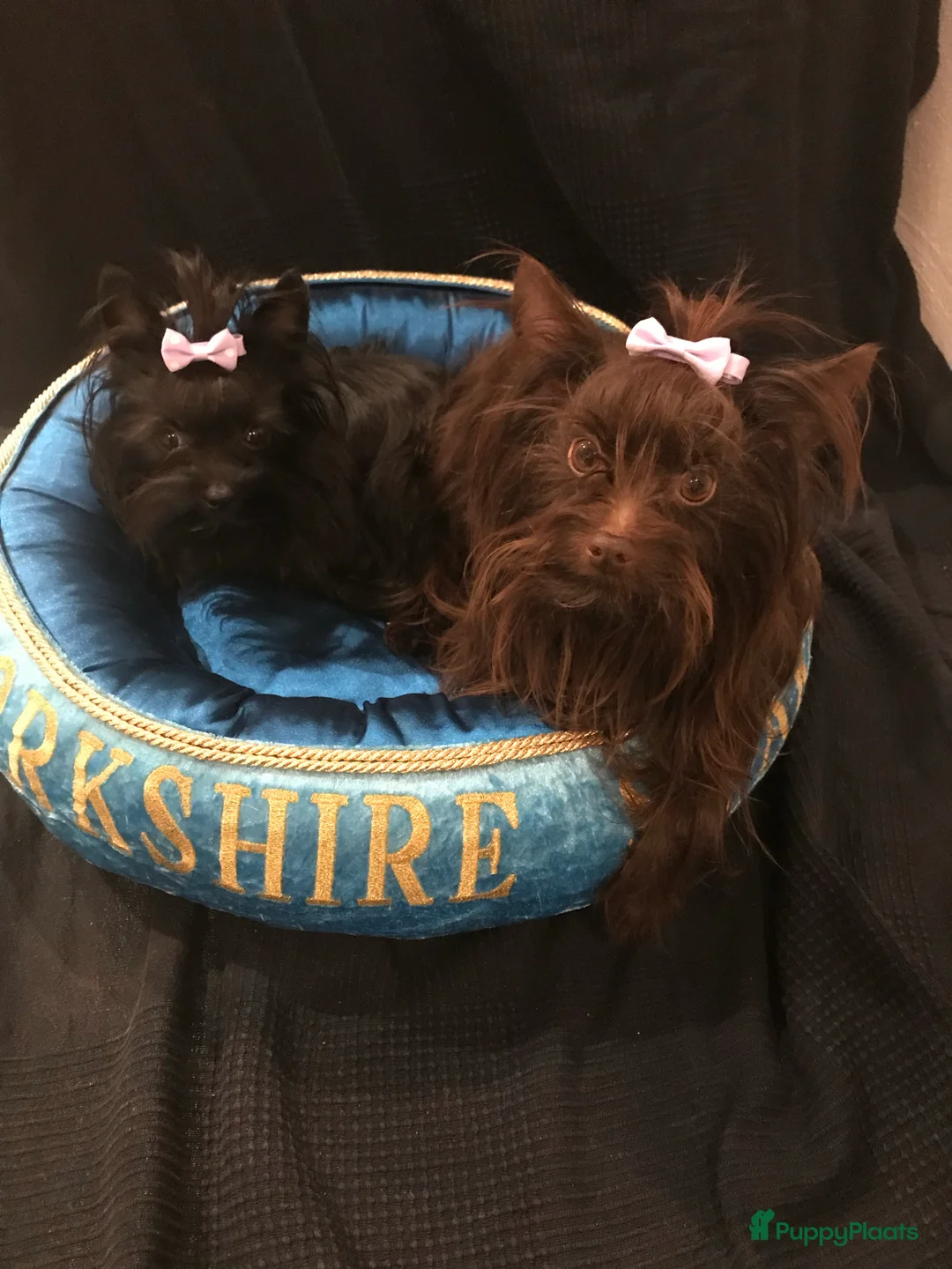 Galerij afbeelding {{count}}