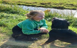 Rottweiler honden te koop: Nog 3 super lieve rottweiler reutjes. - Afbeelding 18