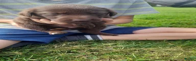 Kruising 9