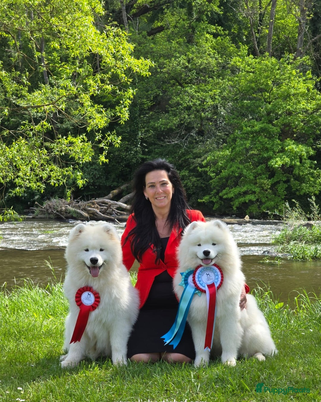 Galerij afbeelding {{count}}