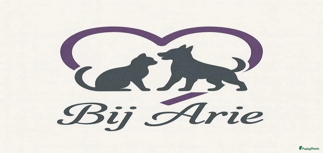 Galerij afbeelding {{count}}