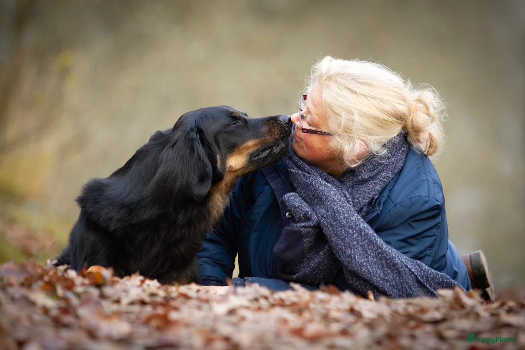 Galerij afbeelding {{count}}