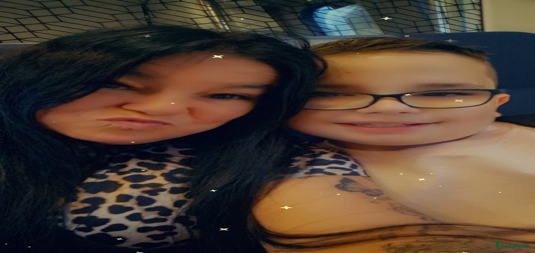 Galerij afbeelding {{count}}