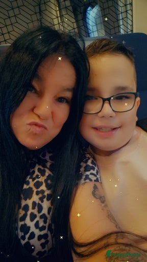 Galerij afbeelding {{count}}