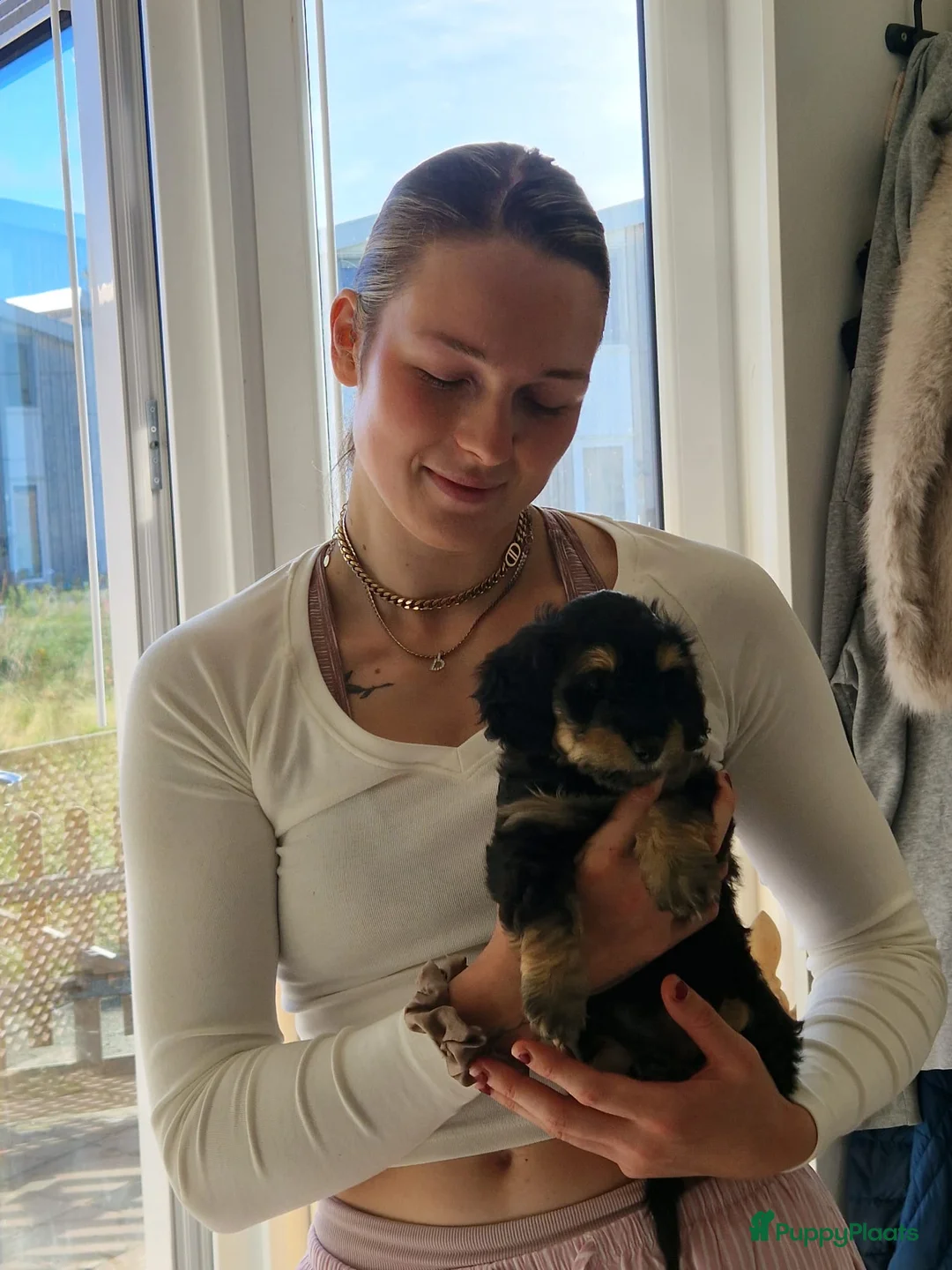 Kruising honden te koop: 🩷maltezer X dwergteckel💙 - Advertentie 11