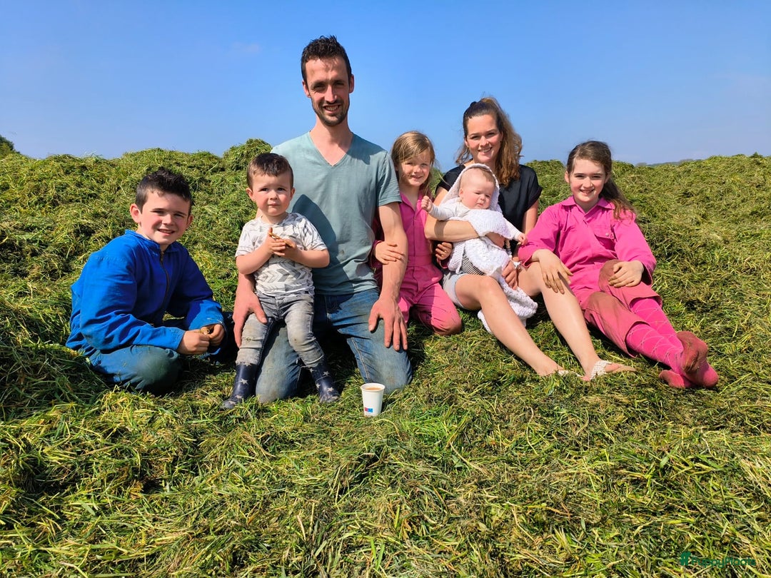 Galerij afbeelding {{count}}