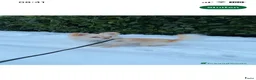 Chihuahua honden te koop: Langharige Chihuahua puppy’s  - Advertentie 29