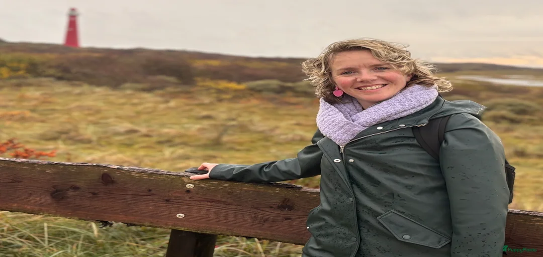 Galerij afbeelding {{count}}