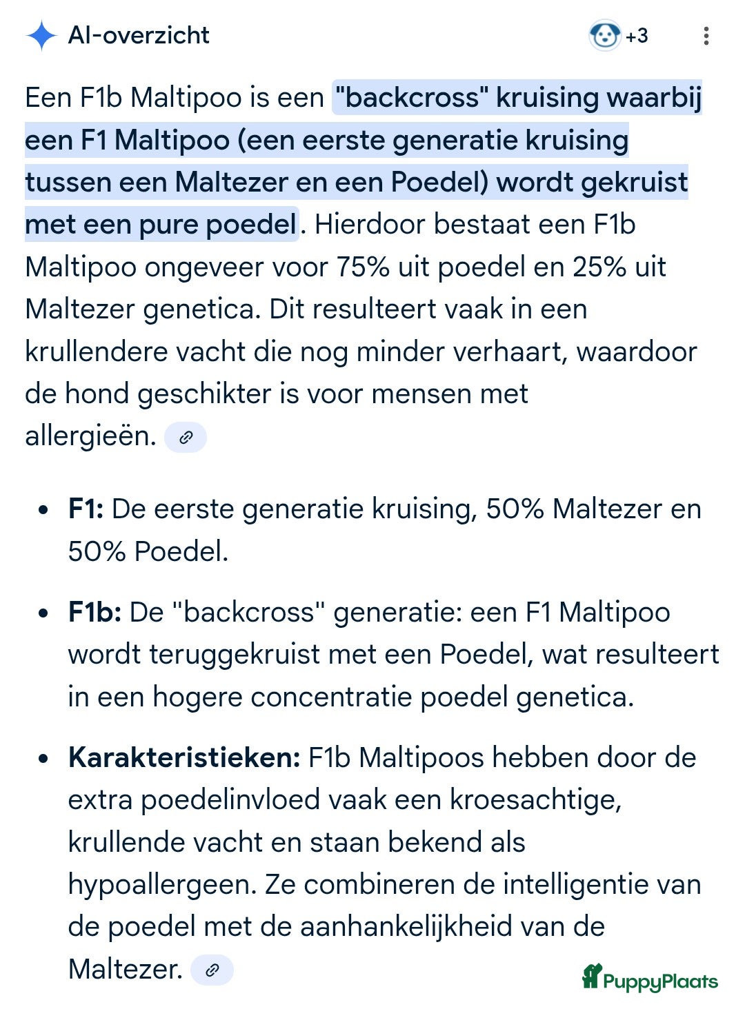 Maltipoo honden te koop: Maltipoo F1b worden rond kerst geboren 🥰 !  - Advertentie 33