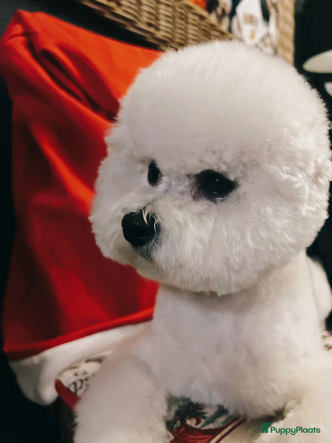 Galerij afbeelding {{count}}