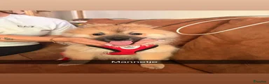 Kruising 2