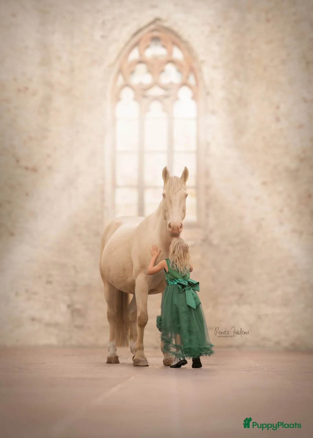 Galerij afbeelding {{count}}