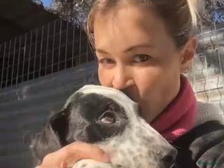 Kruising honden Gunter zoekt een vriendje voor het leven - Advertentie 2