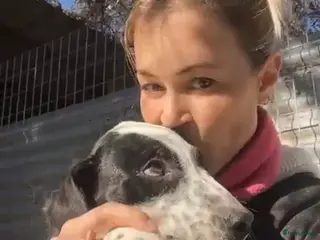 Kruising honden Gunter zoekt een vriendje voor het leven - Advertentie 1