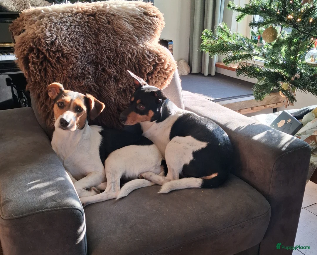 Galerij afbeelding {{count}}