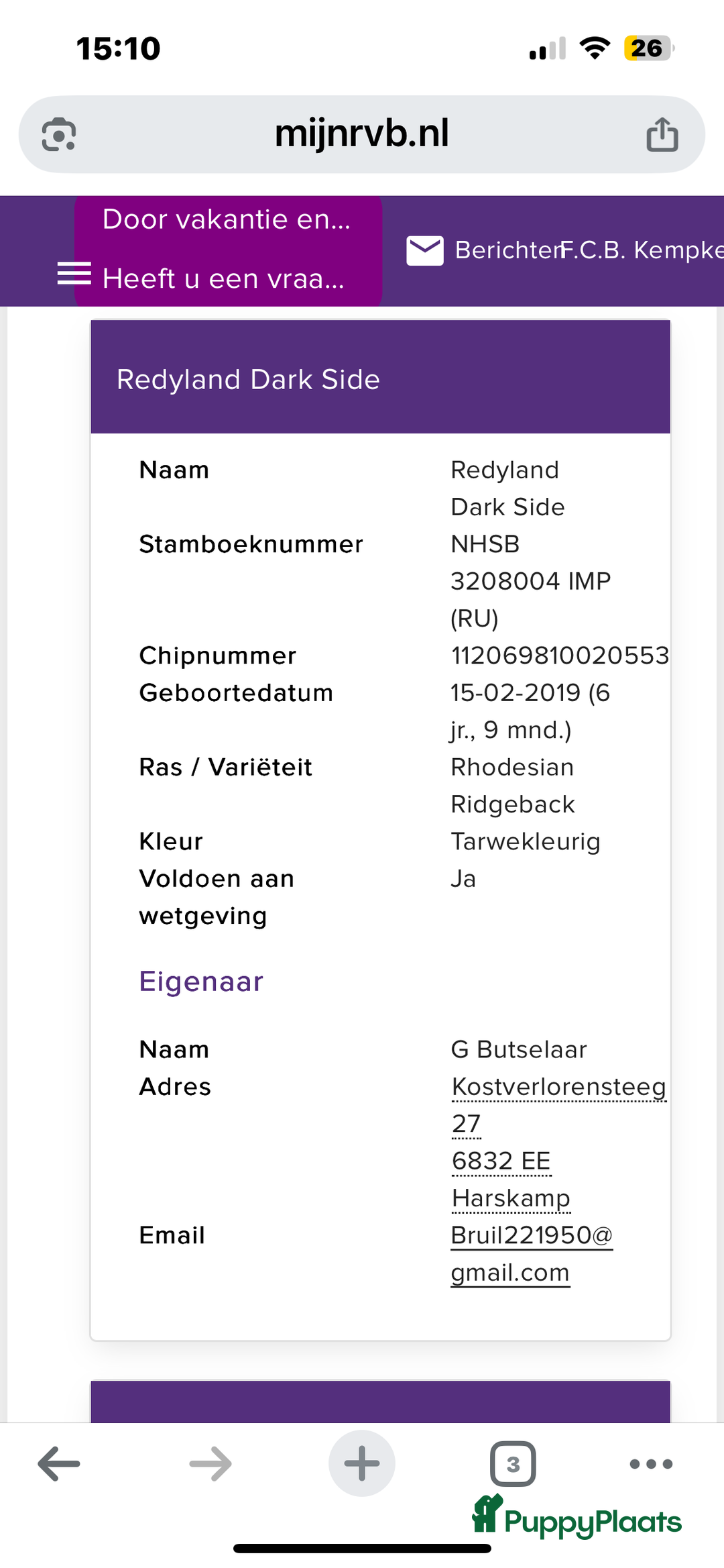 Rhodesian Ridgeback honden te koop: Rhodesian Ridgeback 7 reutjes geboren - Advertentie 25