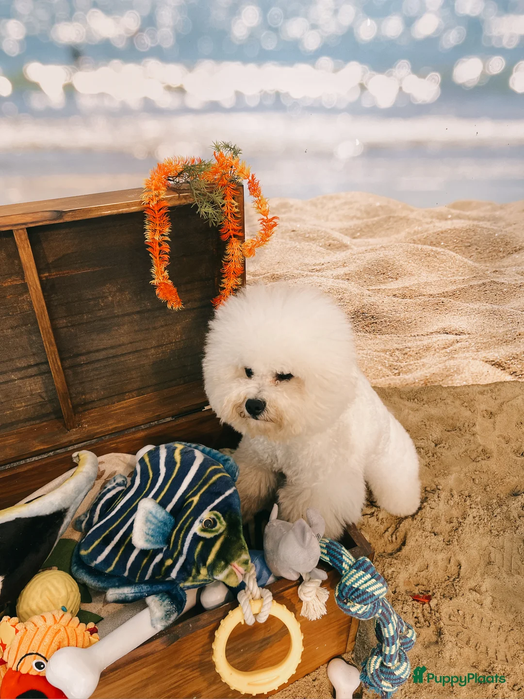 Galerij afbeelding {{count}}