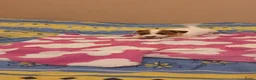 Poedel Toy honden te koop: Jack Russell Terrier pups beschikbaar - Advertentie 2