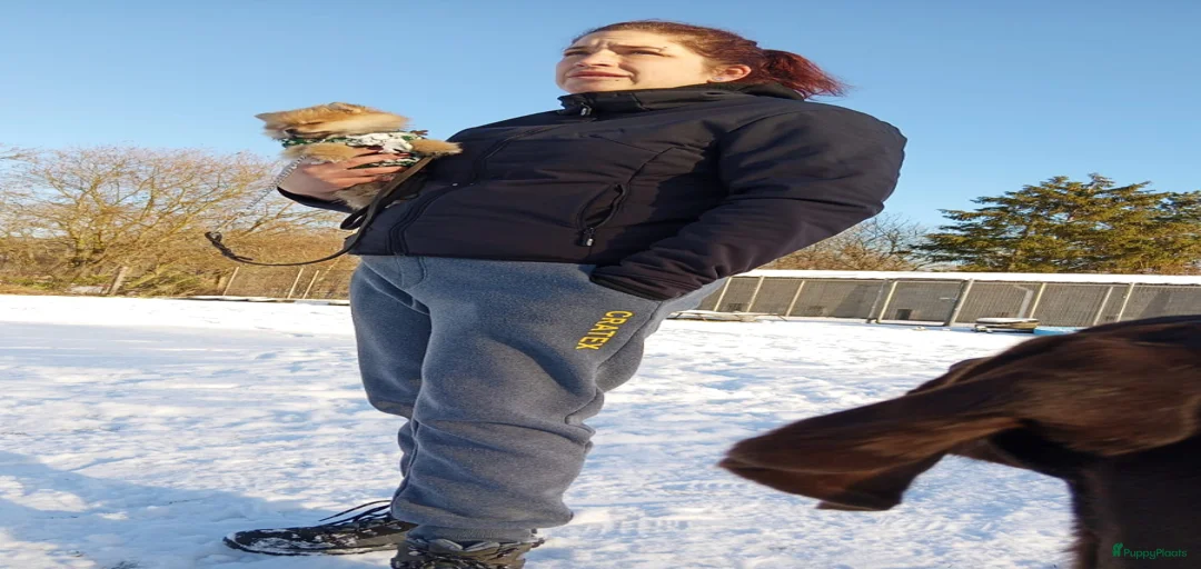 Galerij afbeelding {{count}}