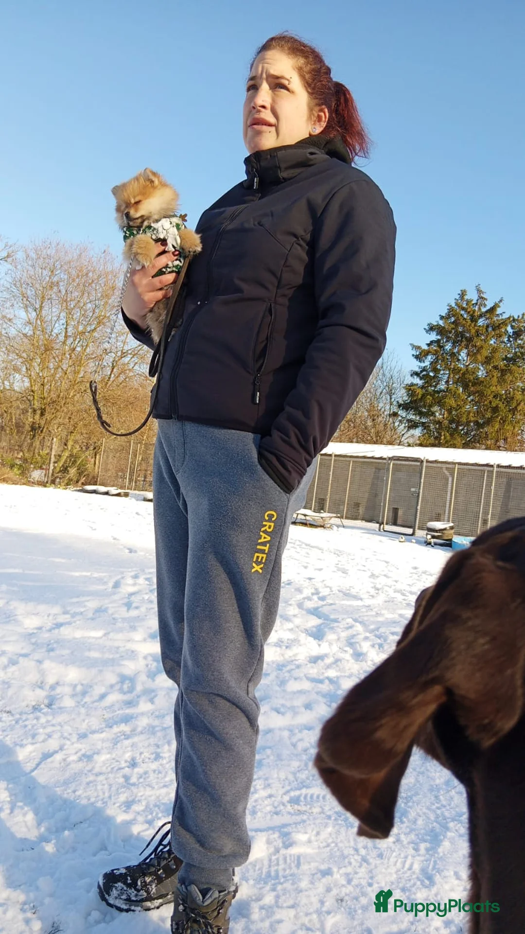 Galerij afbeelding {{count}}